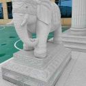 唐山 白麻花岗岩动物异形石雕-大象