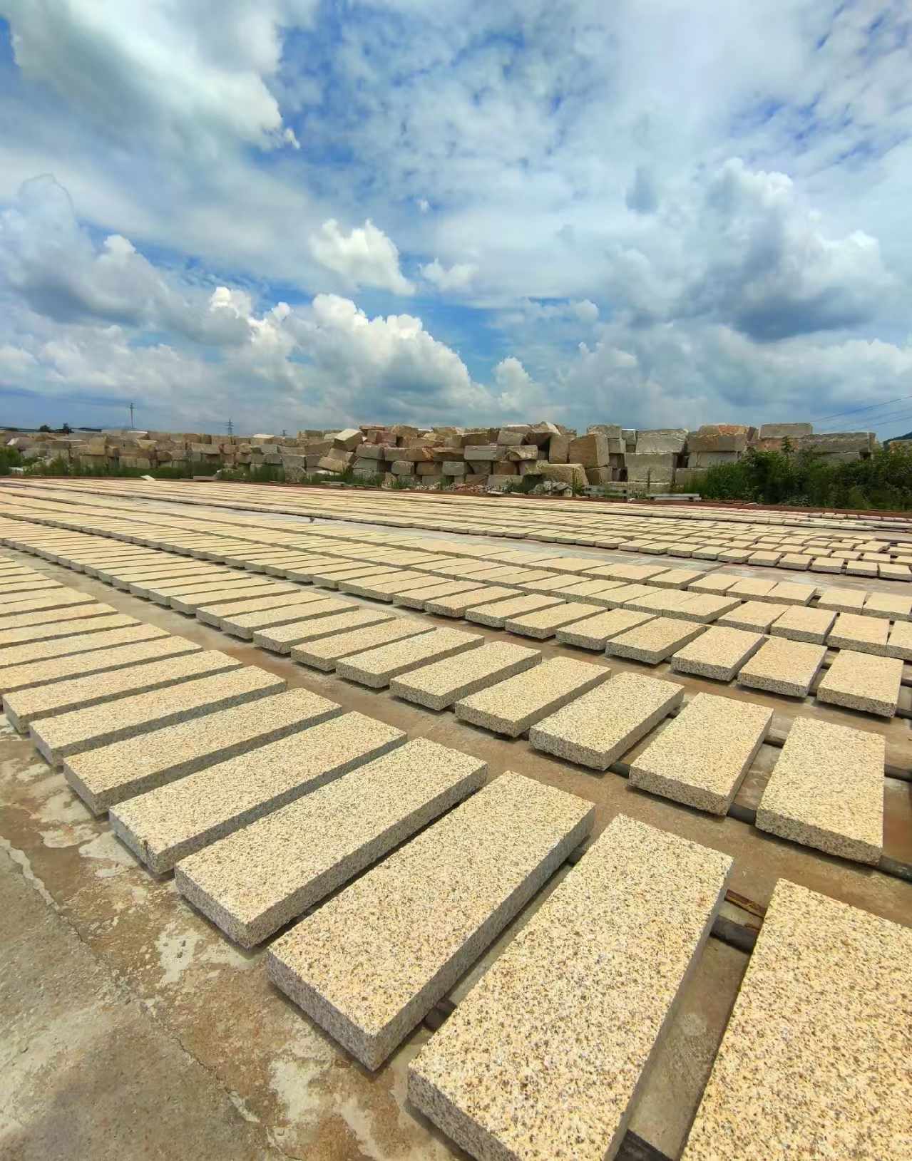 唐山 黄金麻荔枝面花岗岩石材地铺石防护中